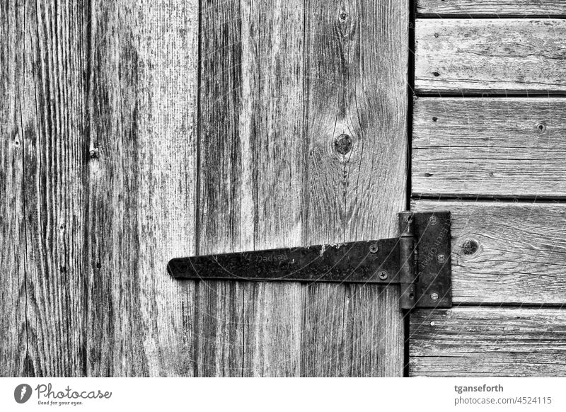 Gartenhütte Scharnier Holz Menschenleer alt Metall Detailaufnahme Rost Vergänglichkeit Strukturen & Formen Außenaufnahme Nahaufnahme abstrakt Muster