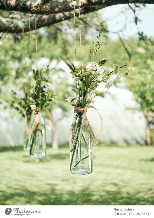 An einem Baum hängende Blumenvasen, Hochzeitsdekoration Vase Dekoration & Verzierung erhängen Glas Haufen Natur rustikal Feier grün im Freien Garten romantisch