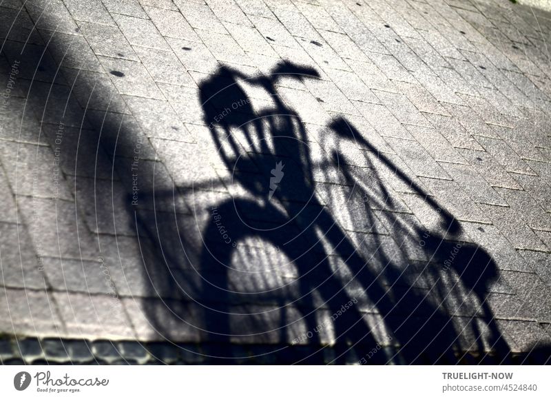 Das Fahrrad mit Einkaufskorb vorn ist nicht zu sehen - nur sein Schatten auf sonnigen Steinen Damenfahrrad Steinboden Sonnenlicht Fahrradfahren Verkehrsmittel