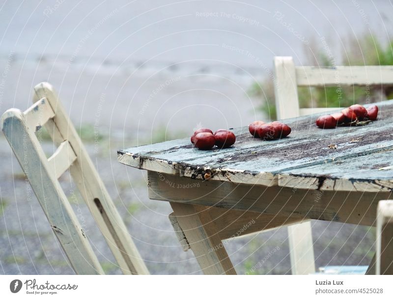 Ausschnitt eines verwitterten Tisch aus Holz am Straßenrand, einige Kastanien liegen in Reihe... alt draußen herbstlich Herbst Deko dekoriert schön