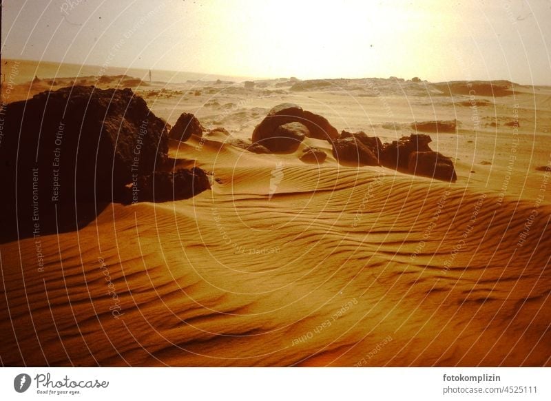 Wüste: Felsen und Sand Sahara Sandverwehung wüst heiß Einsamkeit Menschenleer Düne Abenteuer Afrika gelb trocknen winken Landschaft Natur Sonne