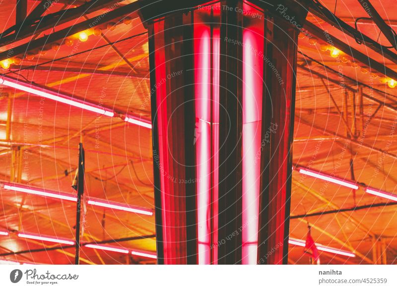Intensives Bild von Neonlichtern auf einer Messe neonfarbig Lichter Fairness Led's Energie rot rosa abstrakt Hintergrund verblüht intensiv pulsierend Farbe hell
