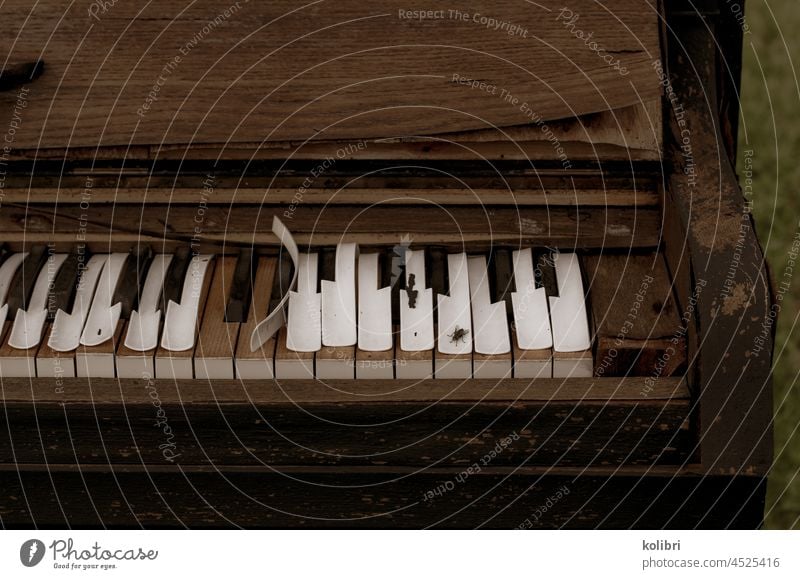 Ausschnitt eines alten, verwitterten Klaviers, der Lack der weißen Tasten splittert ab, auf einer Taste sitzt eine Fliege Piano verwahrlost brüchig
