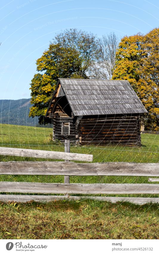 Herbstliche Idylle hinterm Bretterzaun. Heustadl auf einer Weide Hütte Stadl Heuschober Holzhütte alt rustikal solide Zeitgeschichte urig Landwirtschaft braun