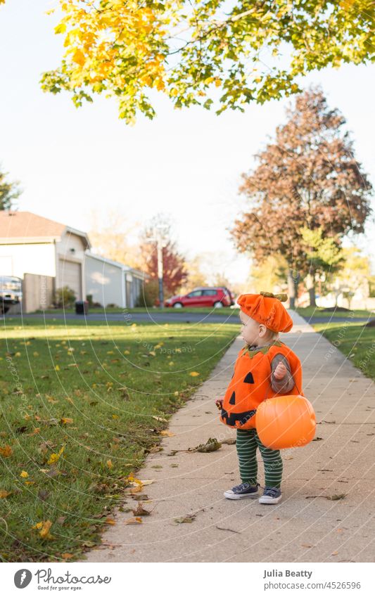 18 Monate altes Kleinkind, das ein Kürbiskostüm mit einer Kürbislaterne trägt, während es in seiner Nachbarschaft Süßes oder Saures gibt Halloween