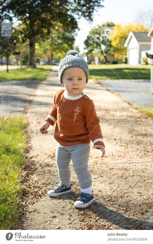 16 Monate altes Kind, das im Herbst auf dem Bürgersteig in seiner Nachbarschaft spazieren geht; das Kleinkind trägt einen rostfarbenen Pullover und eine Strickmütze