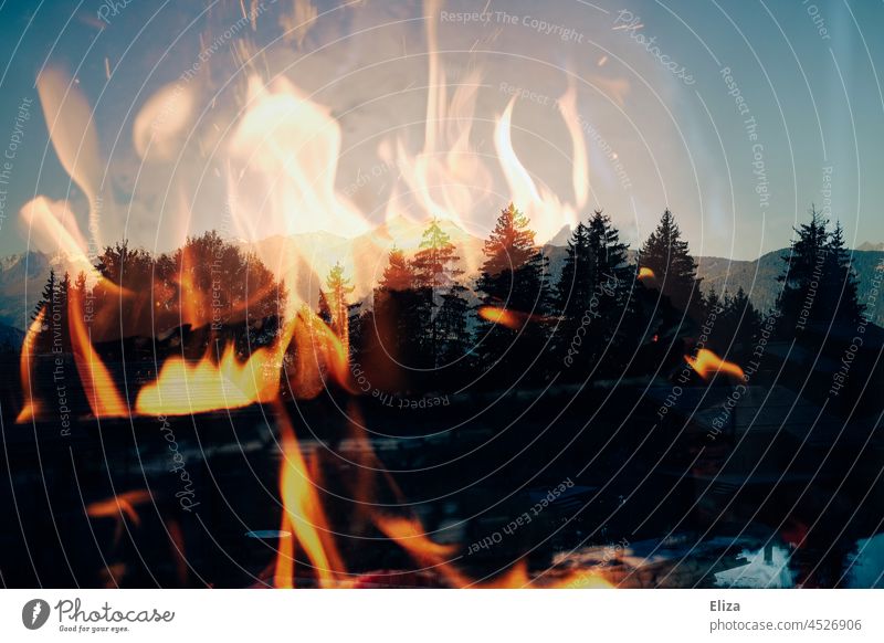 Doppelbelichtung: Feuer, Berge und Wald Natur Bäume Tannen Kaminfeuer Herbst Berge u. Gebirge Alpen gemütlich brennen Flammen