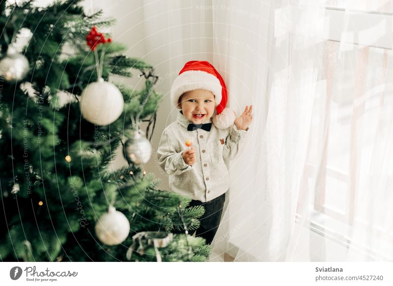 Ein süßer Junge isst einen Lutscher vor einem geschmückten Weihnachtsbaum, das Kind genießt die Feiertage Weihnachten Lollipop Neujahr Baum Bonbon niedlich