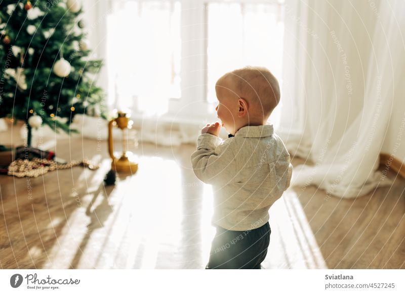 Ein kleiner Junge vor dem Hintergrund eines Fensters und eines Weihnachtsbaums an einem festlichen Morgen. Seitenansicht Lachen Baby Weihnachten Neujahr