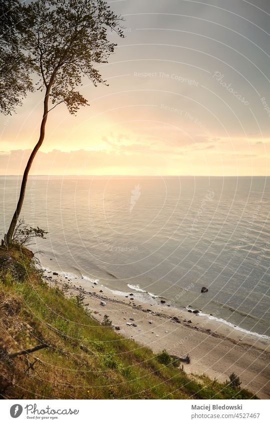 Ostseestrand von einer Klippe in Miedzyzdroje bei Sonnenuntergang, Polen. Strand baltisch MEER Natur Landschaft Wasser Horizont Himmel Baum Küste Europa