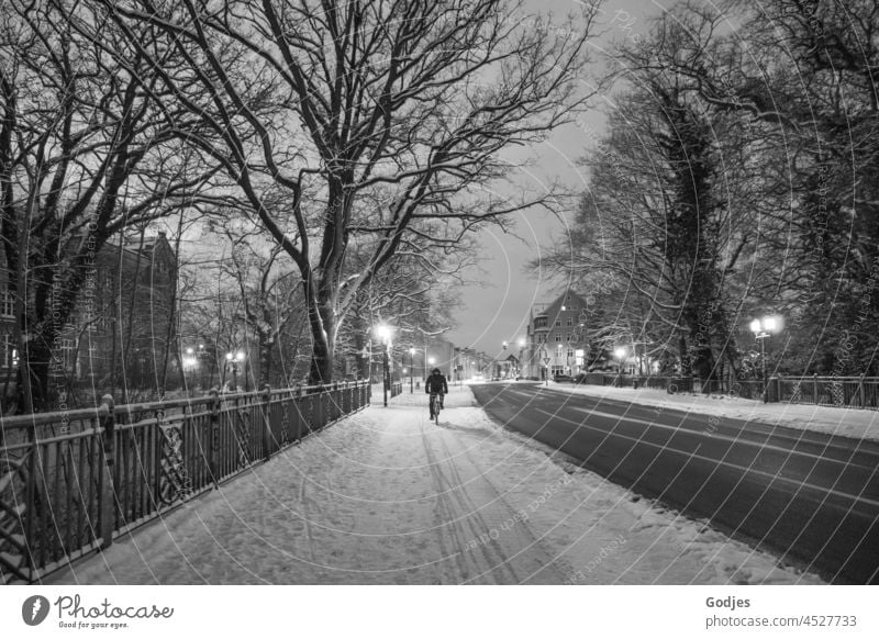 Radfahrer auf verschneitem Fahrradweg an einer geräumten Straße Winter Schnee düster Straßenlaternen kalt weiß Stadt Greifswald Außenaufnahme grau Menschenleer