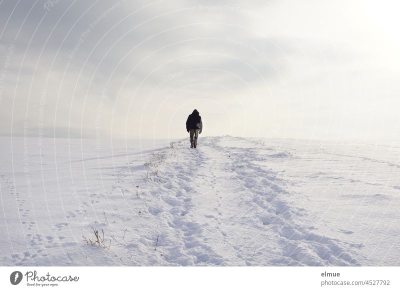 Im Schnee sind viele Spuren von Mensch und Tier zu erkennen, auf einem Feldweg läuft einsam ein Mann Richtung Horizont Weg Winter Fußstapfen Tierspuren