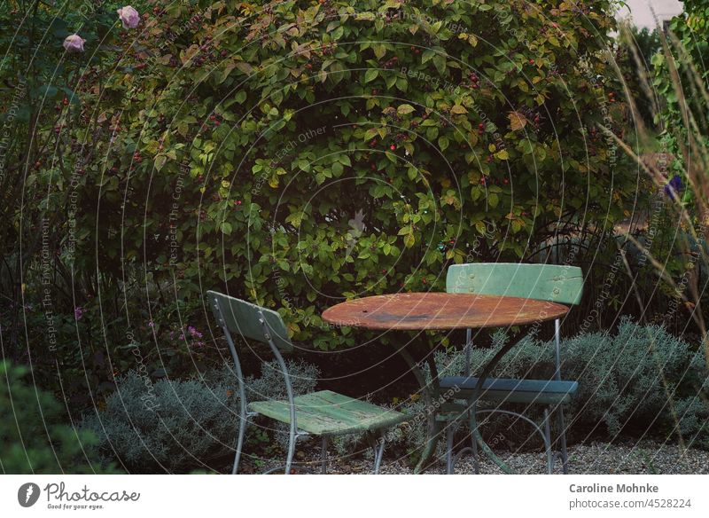 Grüne Gartenstühle und Tisch in einem lauschigen Garten grün Pflanze Natur Frühling Blume Blüte Blühend Farbfoto Außenaufnahme Menschenleer