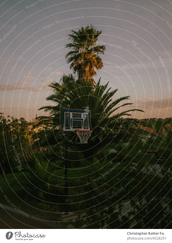 Palmen und Basketball. Near Biarritz, France. Sonnenlicht Filmlook Spreebogen Tourismus Stadtzentrum Wahrzeichen Dämmerung Licht warm Bundestagswahlen