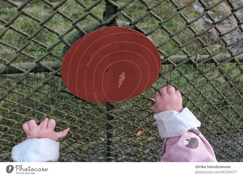 Push the Buzzer - Kinderhände möchten roten Punkt am Zaun erreichen Hände Rot Dekoration Gitter greifen Kreis anklammern Gartentor Metall Metallzaun