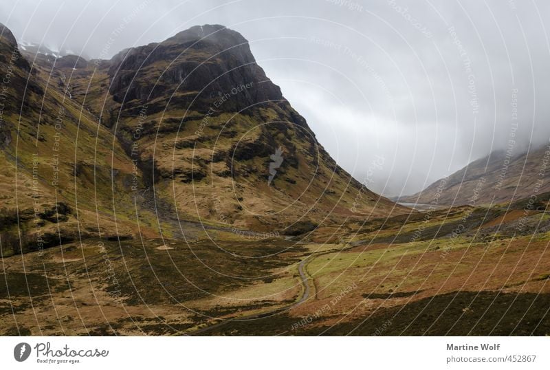 typisch schottisch Ferien & Urlaub & Reisen Ausflug wandern Natur Landschaft schlechtes Wetter Nebel Heide Hügel Berge u. Gebirge Schottland Großbritannien