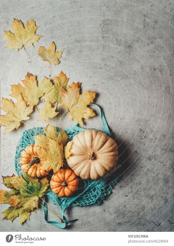 Verschiedene Kürbisse in wiederverwendbaren Einkaufstaschen mit Herbstblättern auf grauem Betonhintergrund. Nachhaltiges und plastikfreies Herbstkonzept mit saisonalem Gemüse. Ansicht von oben.