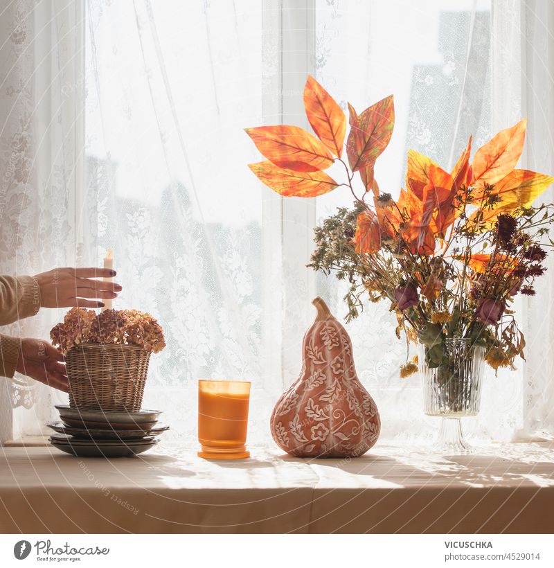 Frau Hände machen Herbst Bouquet auf dem Tisch mit Kürbis, Kerze, Teller am Fenster Hintergrund mit romantischen weißen Vorhang. Gemütliche Herbst Konzept mit saisonalen Dekoration. Vorderansicht.