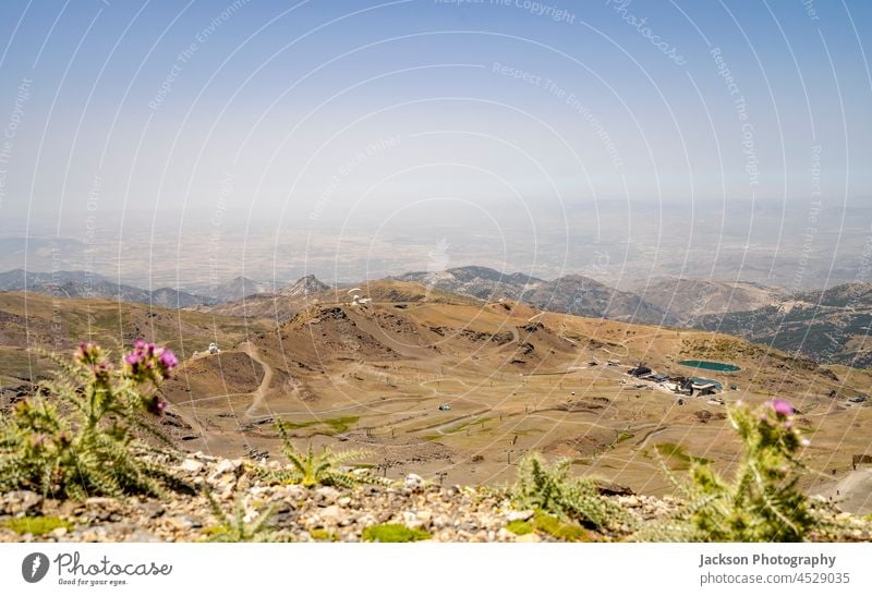 Die Landschaft des Nationalparks Sierra Nevada mit violetten Blumen im Vordergrund, Andalusien, Spanien Berge Flora purpur abschließen Detailaufnahme