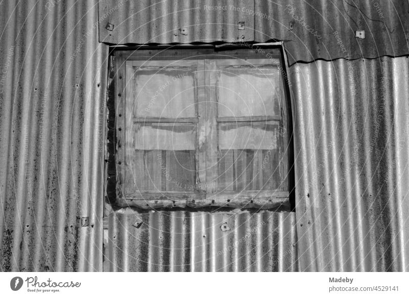Altes Holzfenster mit Vorhang und Insektengitter in alter silbergrauer Wellblechfassade eines Wohnhaus im Sommer im Dorf Maksudiye bei Adapazari in der Provinz Sakarya in der Türkei, fotografiert in neorealistischem Schwarzweiß