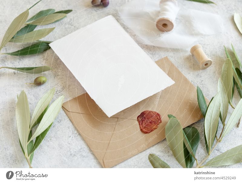 Blankokarten und Umschläge auf einem Tisch mit Olivenbaumzweigen Hochzeit Attrappe Einladung Postkarte oliv Ast Kuvert mediterran rustikal abschließen weiß