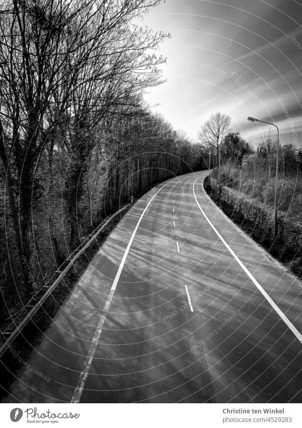 Leere Straße mit langen Schatten von Bäumen und Sträuchern leere Straße Straßenlaterne Mittelstreifen Kurve Sonnenschein Schwarzweißfoto schwarzweiß monochrom