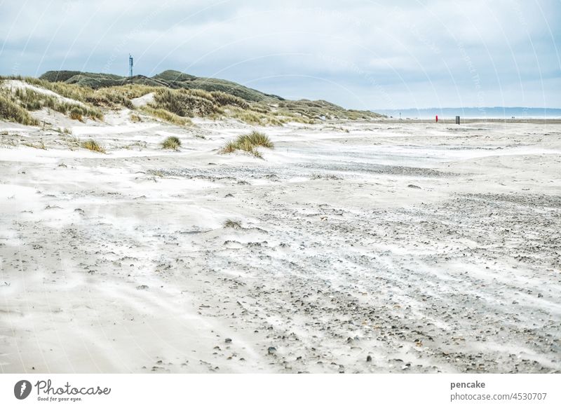 leichtigkeit | sandsturm Strand Nordsee Sand Sandsturm Leichtigkeit fliegen Sandkörner Dänemark Küste Ferien & Urlaub & Reisen Meer Düne