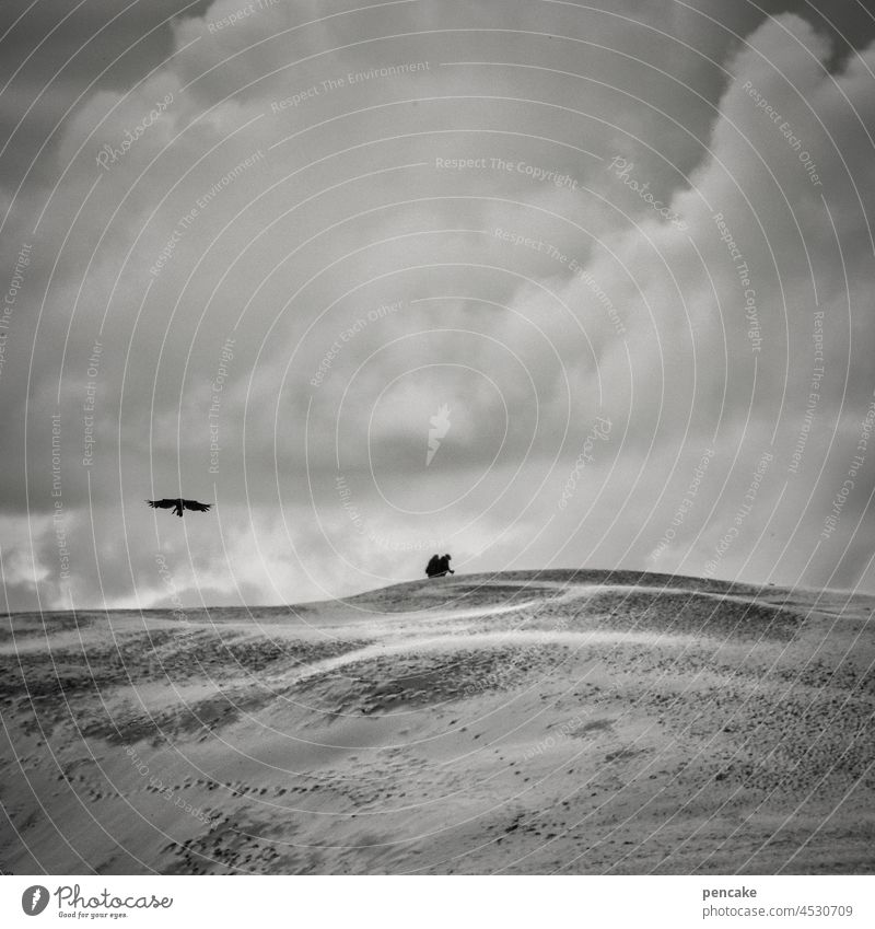 leichtigkeit | der eine hat‘s, der andere nicht Nordsee Sand Düne Wanderdüne Vogel Mensch fliegen wandern schwer Gravitation Leichtigkeit