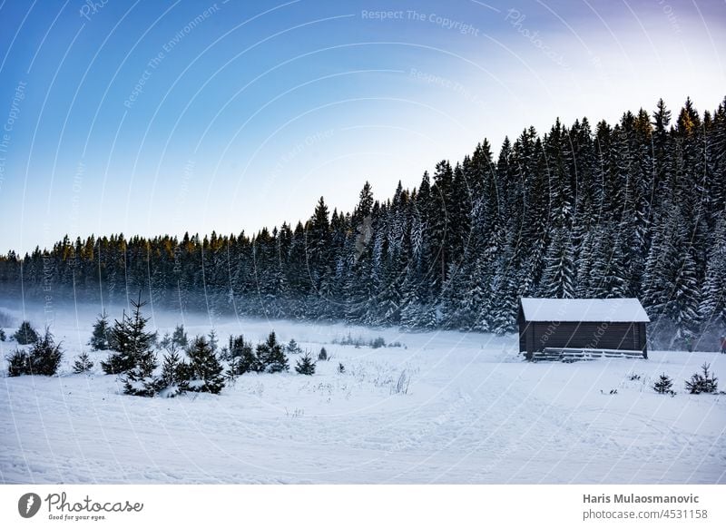 Sonnenuntergang auf verschneitem Berg bei sehr niedrigen Temperaturen blau malerisch Holz Schönheit igman atmosphärisch Hintergrund schön Schneesturm kalt cool