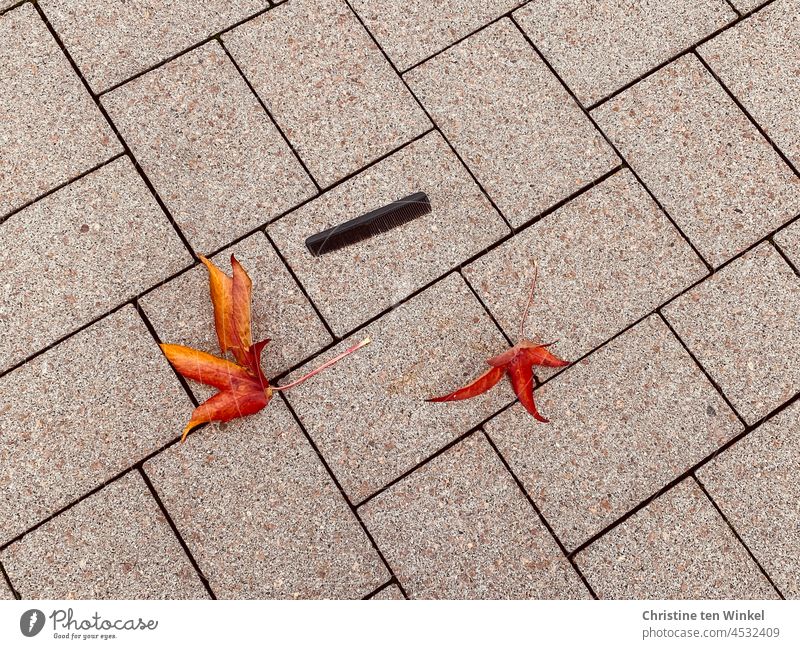 Zwei orange Herbstblätter und ein schwarzer Kamm aus Plastik liegen auf dem hellen gepflasterten Boden Pflastersteine beige verloren Fundstück gefunden