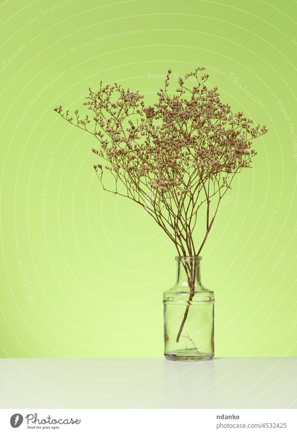 Blumenstrauß aus getrockneten Blumen in einer transparenten Glasvase auf einem weißen Tisch, grüner Hintergrund Ast Zweig Haufen Dekor Dekoration & Verzierung