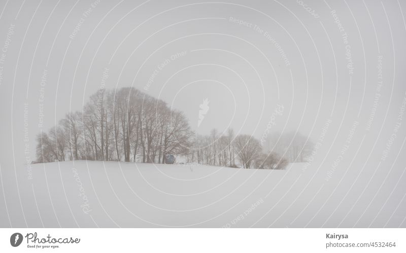 Nebelhafte Landschaft Schnee schlafende BÃ¤ume Stille Wagen Mystik Unendlich Wesentliche trÃ¤umerisch Natur Menschenleer Frost Winterstimmung kalt Umwelt stille