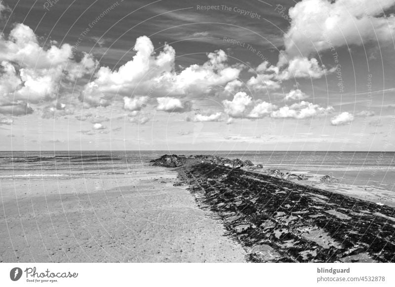 Memories in black and white Sehnsucht Belgien Meer Nordsee Wellenbrecher Wasser Sand Strand horizont farblos verblasst Wolken Himmel Küste Natur Freiheit