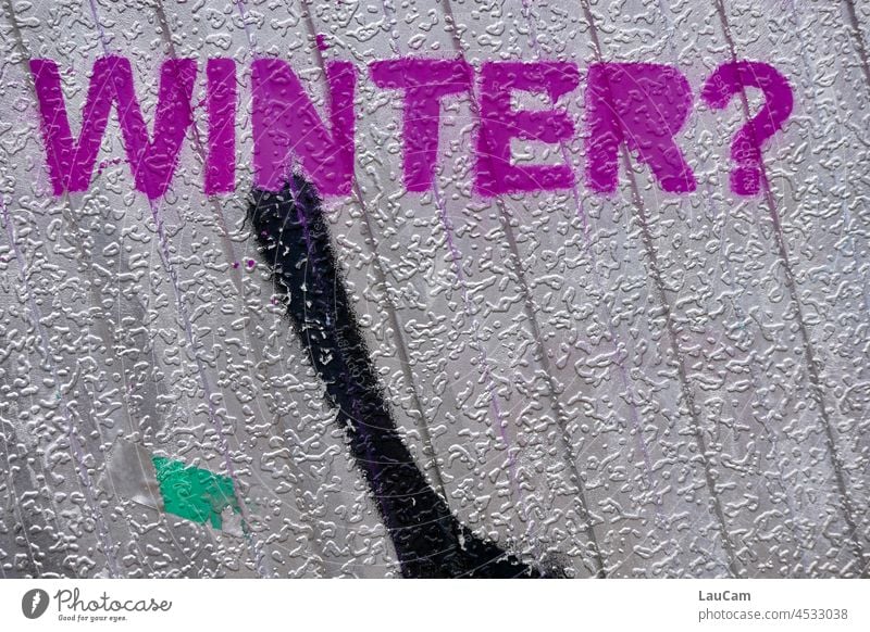 Lila Winter ? Jahreszeit Jahreszeiten kalt Graffiti Grafik u. Illustration Straßenkunst Schriftzeichen Kreativität Wandmalereien Typographie Schmiererei lila