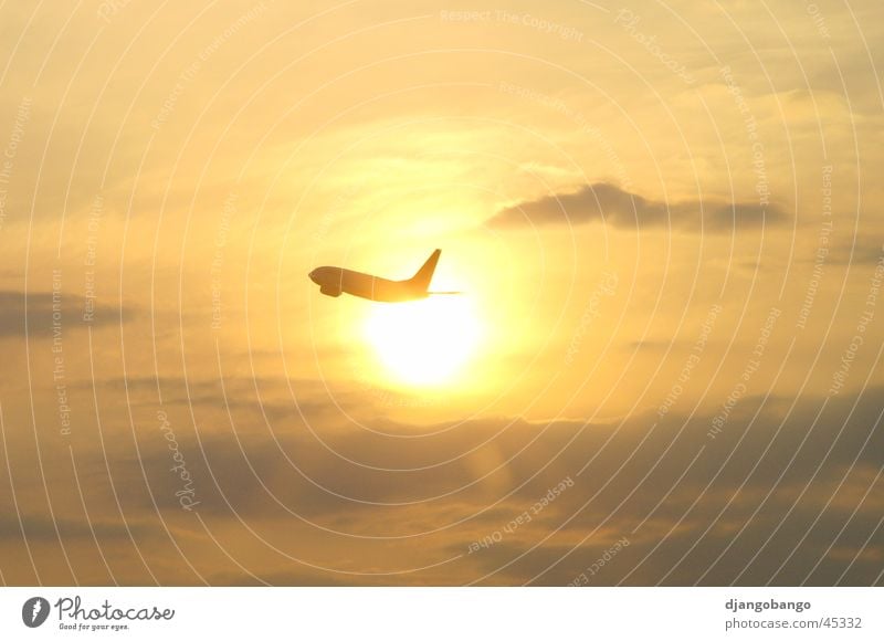 Flieger grüß&#8217; mir die Sonne Flugzeug Wolken Gegenlicht Sonnenuntergang Himmel Beginn