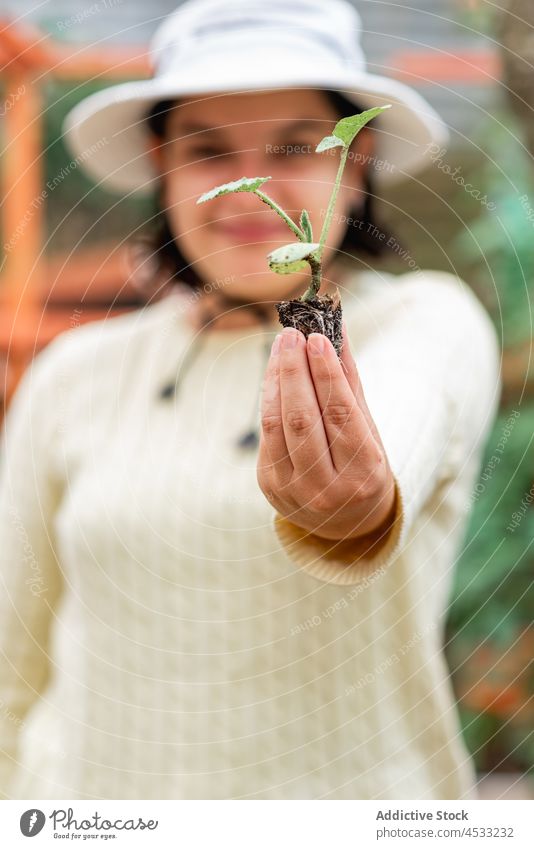 Lächelnde Frau zeigt Sprössling im Garten Gärtner Aussaat sprießen Vorbau zeigen Pflanze Ackerbau kultivieren positiv Bauernhof Botanik wachsen Arbeit