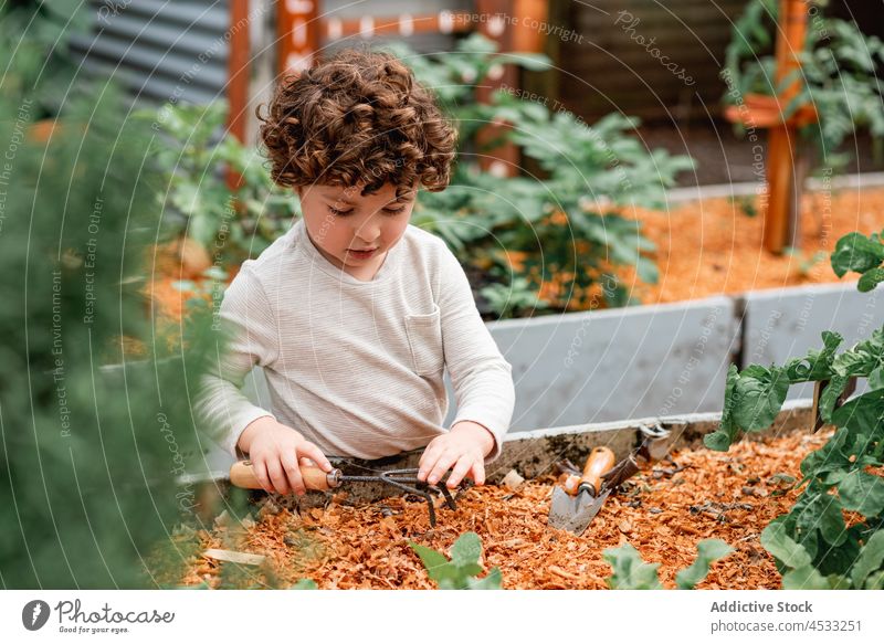 Niedliches Kind mit Spaten im Garten Junge schaufeln neugierig kultivieren Pflanze Hilfsbereitschaft Werkzeug Bett Aussaat Ackerbau krause Haare wachsen