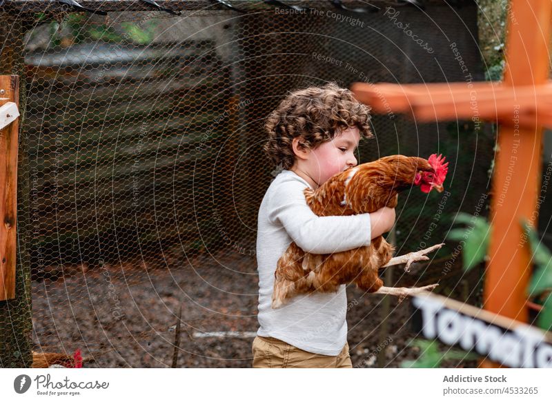 Junge hält Huhn im Garten auf dem Lande Kind Hähnchen Vogel Ackerbau spielen Bauernhof Federvieh Dorf ländlich Landschaft unschuldig wenig unterhalten Pute Hof