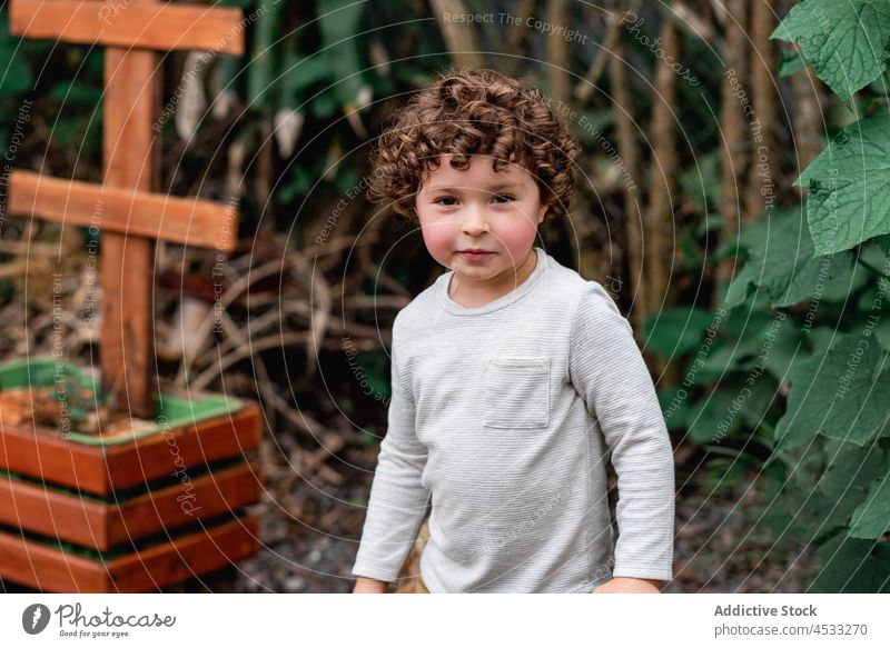 Niedlicher kleiner Junge hilft im Garten Kind Pflanze wachsen Bett Kindheit unschuldig neugierig Hof Landschaft sprießen Aussaat Ackerbau krause Haare