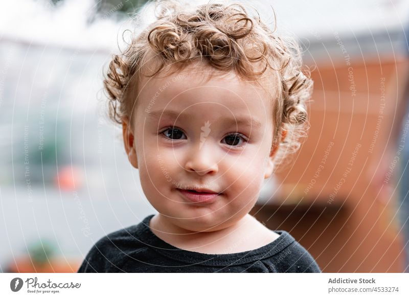 Niedlicher kleiner Junge mit lockigem Haar Kind Porträt Kindheit unschuldig wenig Menschliches Gesicht Vorschein niedlich Starrer Blick krause Haare