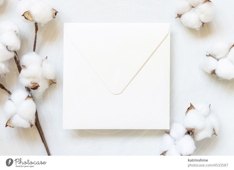 Leerer weißer Umschlag auf weißem Tisch mit Baumwollblumen Ansicht von oben Hochzeit Attrappe Einladung Baumwolle Weihnachten Blume Kuvert Ast minimalistisch