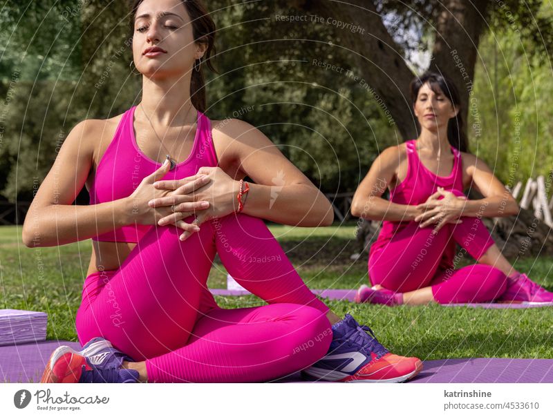 Zwei Frauen praktizieren Yoga und Meditation im Park im Sommer Pilates Asana Gesundheit strecken rosa grün sonnig mittleres Alter jung im Freien Fitness
