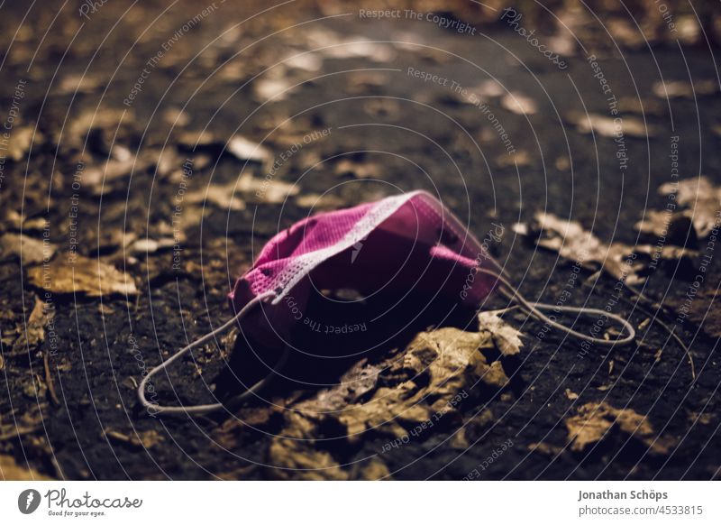 medizinischer Corona Mundschutz in rosa bei Nacht auf der Straße im Herbst medizinische Maske medizinischer Mundschutz pink Boden Weg Waldweg Laub Blätter