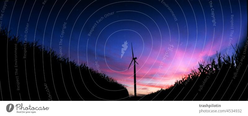 Sundown im Feld Sonnenuntergang blaue Stunde Felder panorama Windkraftanlage windkraft rosa Himmel Dämmerung Energie ökologisch Windrad nachhaltig Elektrizität