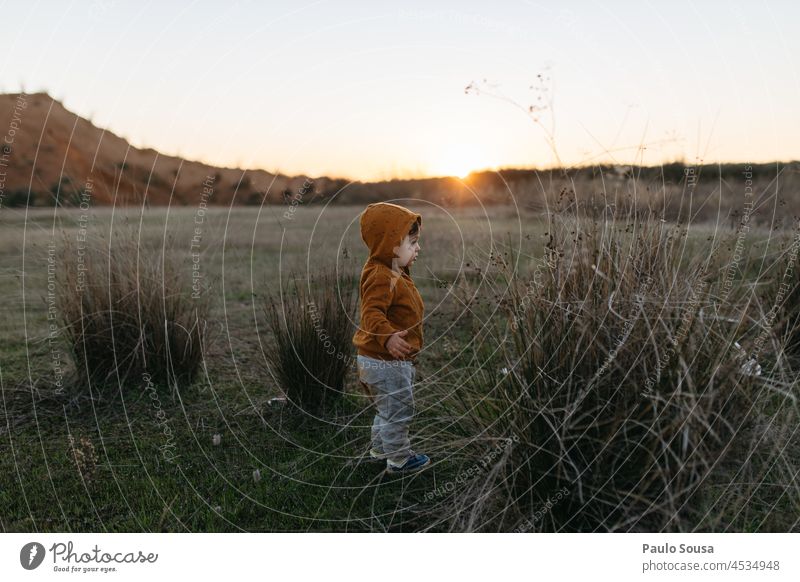 Kind mit orangefarbenem Kapuzenpulli Kindheit erkunden 1-3 Jahre Kaukasier eine Person Sonnenuntergang Herbst authentisch herbstlich Fröhlichkeit niedlich Natur