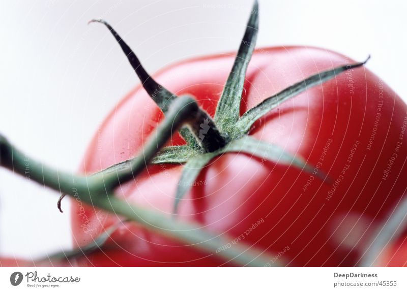 Tomate rot Gesundheit Nahaufnahme Detailaufnahme Makroaufnahme Ernährung