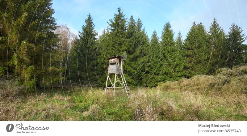 Panoramablick auf einen Wald mit einem hölzernen Jagdturm für Rehe und Wildschweine. Tierhaut Wälder stehen blind Natur grün Landschaft Baum Umwelt Laubwerk Tag