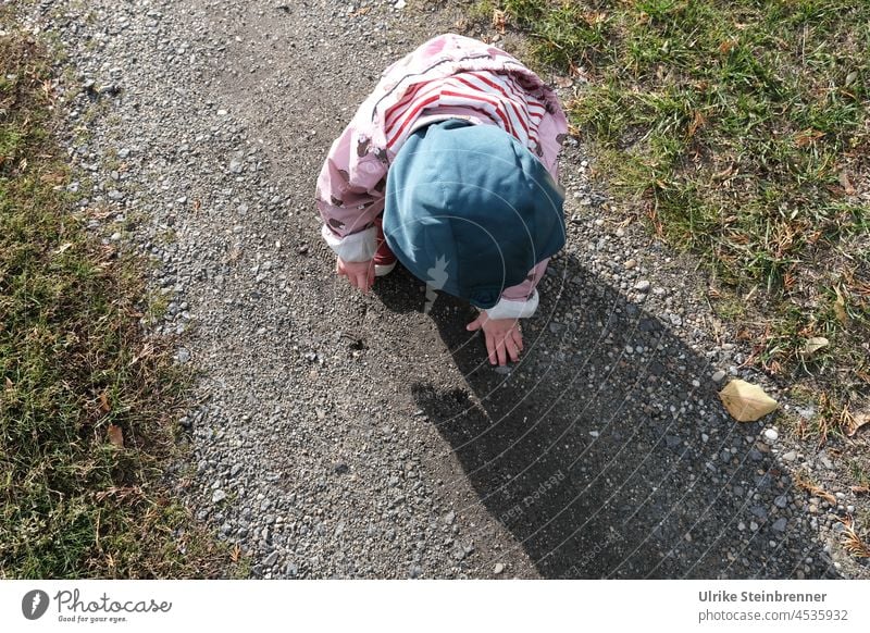 Kleinkind entdeckt Dinge auf einem Weg Kind Waldweg Steinchen Steine finden suchen entdecken Wunder Entdeckerfreude spielen Kindheit Natur Mädchen 1-3 Jahre