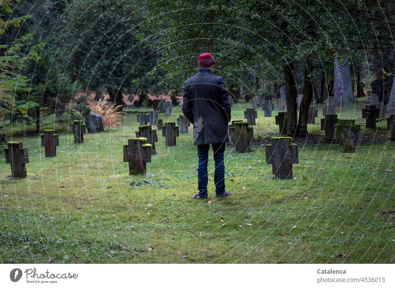 Mann steht vor Gräber auf dem Friedhof Grabstein betrachten andächtig Tod Trauer Vergangenheit gras Bäume Person Ruhe Stille Grün Grau Rot Stein Tag Tageslicht