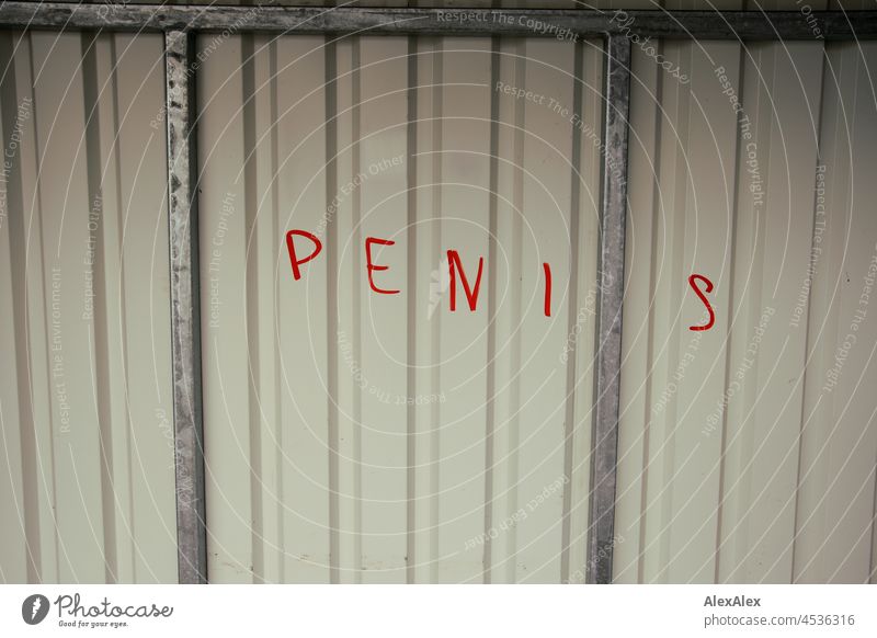 PENIS - beiges Trapezblech mit der roten Filzstift- Aufschrift PENIS - hässliches Graffito - Sachbeschädigung Penis Blech Blechwand Träger Stahlträger Eisen